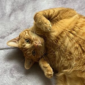 Meet your Posher, Margaret